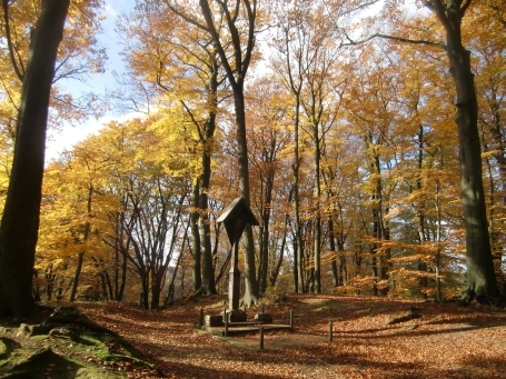 Wegberg-Arsbeck : Auf der Motte Alde Berg